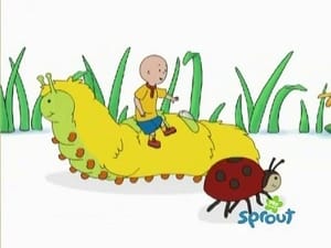 Caillou 3. évad Ep.20 20. epizód