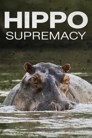 Hippo Supremacy