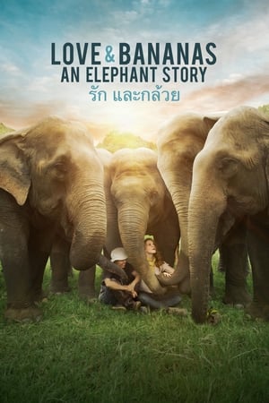 Love & Bananas: An Elephant Story poszter