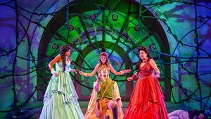 Doornroosje De Musical háttérkép