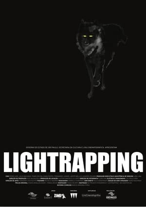 Lightrapping poszter