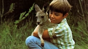 Skippy the Bush Kangaroo kép