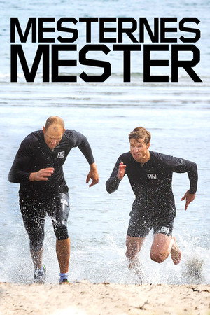 Mesternes mester