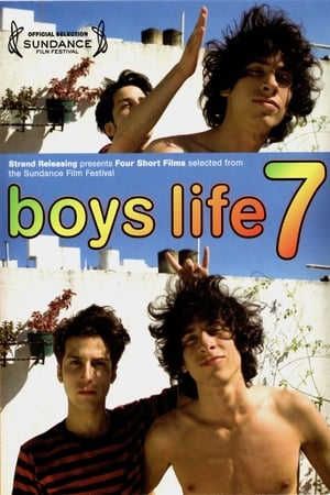 Boys Life 7 poszter