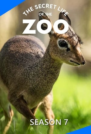 The Secret Life of the Zoo