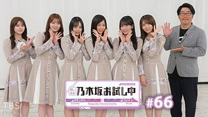 乃木坂お試し中 6. évad Ep.8 8. epizód