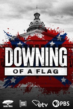 Downing of a Flag poszter