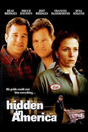 Hidden in America poszter