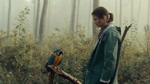 Kommt ein Vogel geflogen háttérkép