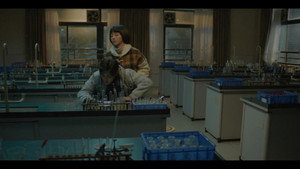 人不彪悍枉少年 1. évad Ep.15 15. epizód
