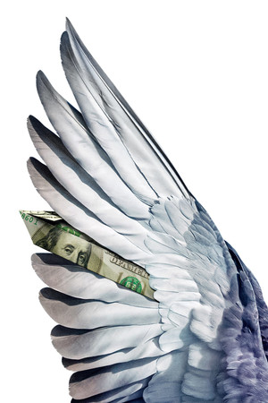 Million Dollar Pigeons poszter