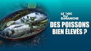 Le Doc du dimanche 14. évad Ep.32 32. epizód