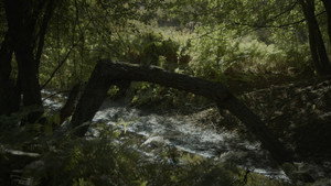 SILVA NATURA háttérkép