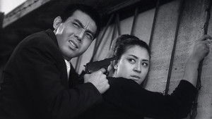 野獣の青春 háttérkép