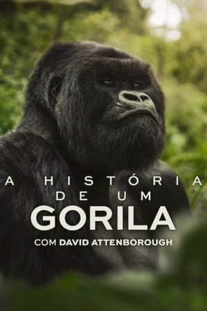 David Attenborough: Gorillák között poszter