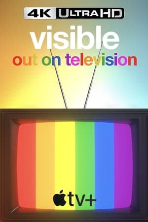 Visible: Out on Television poszter