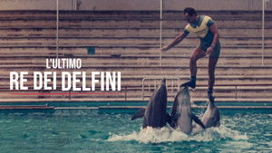 Mi történt a delfinkirállyal? háttérkép