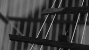 The Shadow of the Cage háttérkép