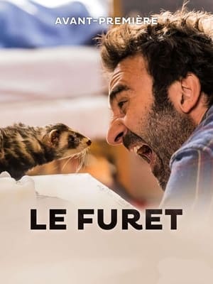 Le furet poszter