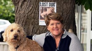 Lost Dog, Found Dog with Clare Balding kép