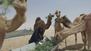 سماء قريبة háttérkép