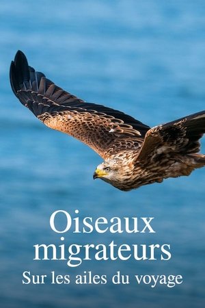 Zugvögel - Ein Jahr vergeht im Flug poszter