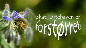 Le Petit Peuple du potager háttérkép