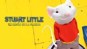 Stuart Little, kisegér háttérkép