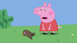 Peppa malac 8. évad Ep.10 10. epizód