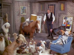 Green Acres Season 2 Ep.19 19. epizód