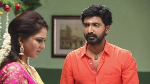 சின்னதம்பி Season 1 Ep.60 60. epizód