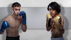 Zuffa Boxing 02 háttérkép
