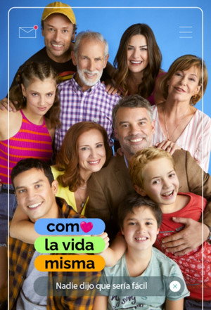 Como la vida misma poszter