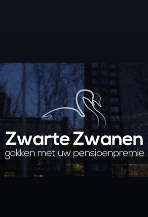 Zwarte zwanen poszter