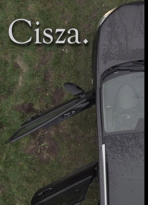 Cisza poszter