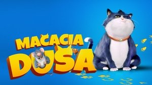 Egy cica 10 élete háttérkép
