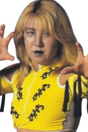 Akira Hokuto profil kép