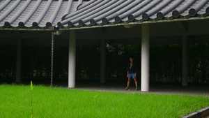 Shin Neko háttérkép