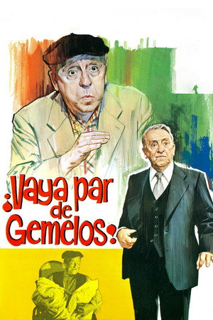 ¡Vaya par de gemelos! poszter