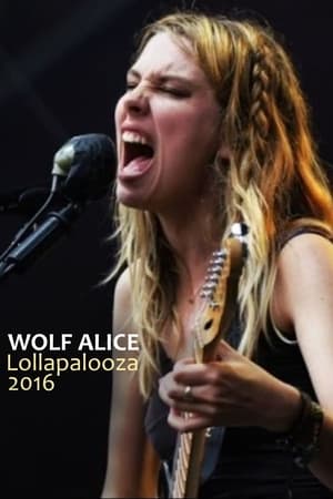 Wolf Alice - Live at Lollapalooza 2016