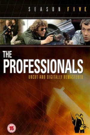 The Professionals