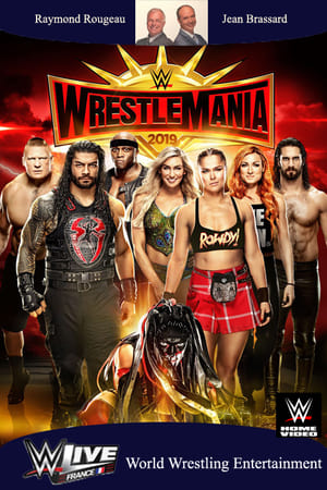 WWE WrestleMania 35 poszter