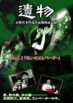 シリーズ「遺物」 未解決事件流出証拠検証記録 Vol.2「呪いのエレベーター」