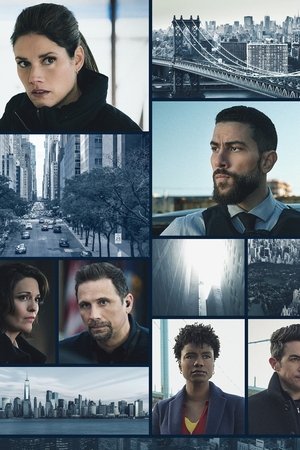 FBI: New York különleges ügynökei poszter