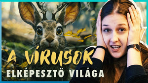 Világjegy 2. évad Ep.2 Az AGANCSOS nyulaktól a SZUPERVÍRUSOKIG