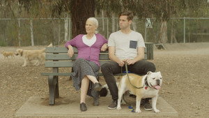 Dog Park háttérkép