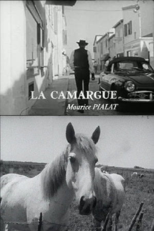 La Camargue poszter