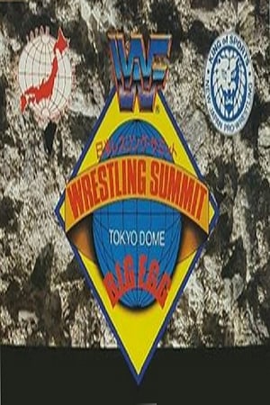 WWF/AJPW/NJPW Wrestling Summit poszter