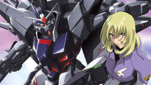 機動戦士ガンダムSEED DESTINY スペシャルエディションIII  運命（さだめ）の業火 háttérkép