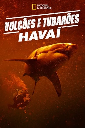 Sharkcano: Hawaii poszter